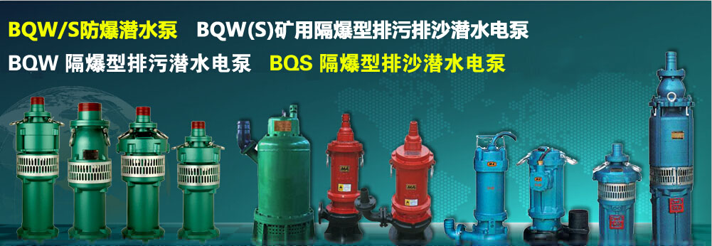 BQW(S)矿用隔爆型排污排沙潜水电泵